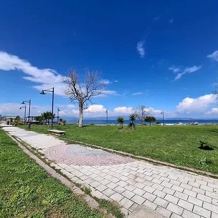 Seagull's Corner * Nea Poteidaia