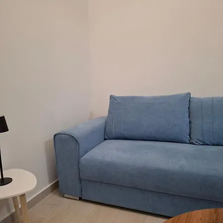 Seagull's Corner