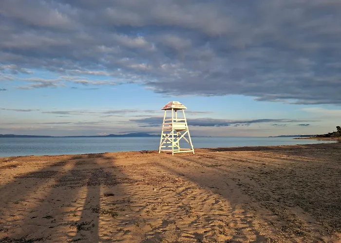 Apartament Seagull's Corner *