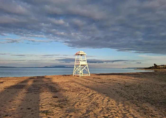 Seagull's Corner Apartament *